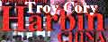 2006/Images02/harbintroymovielogo.gif